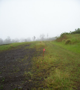 Topographic Survey
